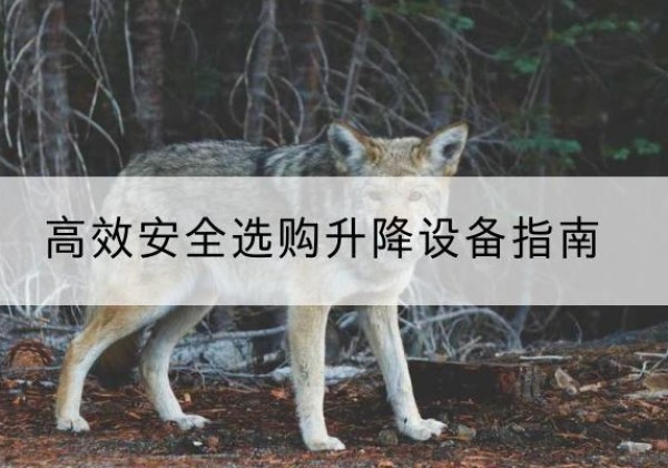 吉州升降货梯厂家推荐-*安全选购升降设备指南