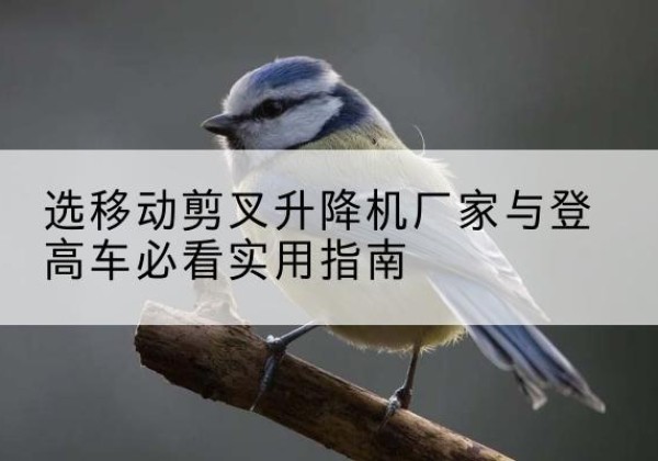 吉州电动升降机厂家-选移动剪叉升降机厂家与登高车必看实用指南